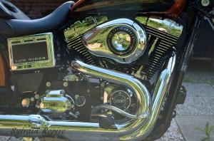 Harley-Davidson Dyna Low Rider 2014 sur un vent de nostalgie