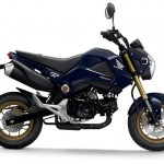 Honda MSX 125: quelque chose des Golden Sixties