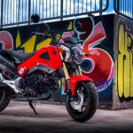 Honda MSX 125: quelque chose des Golden Sixties