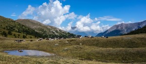 Hard Alpi Tour 2014 : 24h sur les routes de montagne du Piémont italien
