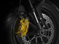 ducati-diesel-monster-1100-evo