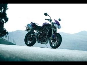 Elle a tout d&rsquo;une grande : Street Triple