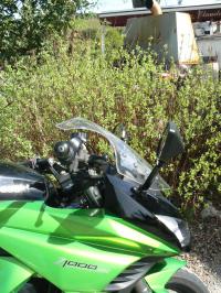 Kawasaki Z1000SX 2011: rencontre d&rsquo;un nouveau type