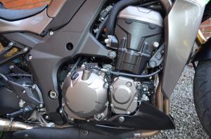 Kawasaki Z 1000 2014 le monstre Sugomi