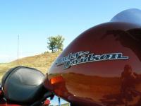 Harley-Davidson Street Glide 2011 : devenez le roi de la route.