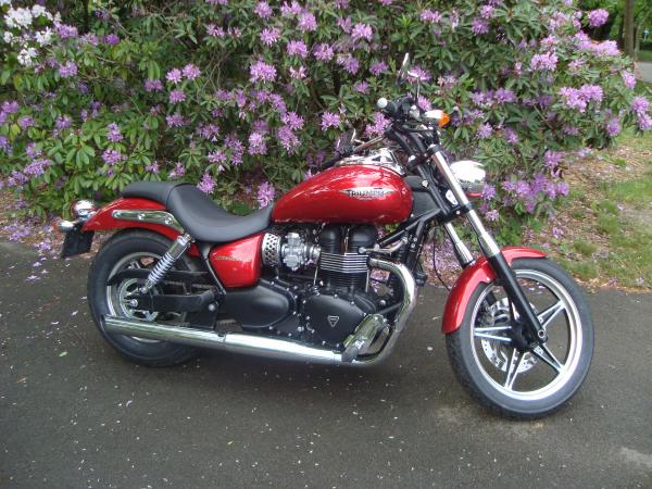 TRIUMPH SPEEDMASTER 2011