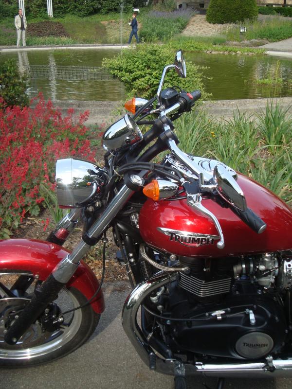 triumph-speedmaster-2011