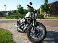 Harley Davidson 883 Iron : le roadster selon Harley?