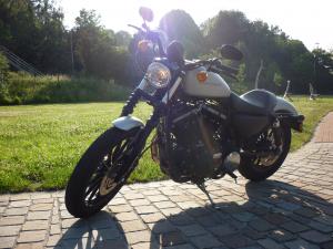 Harley Davidson 883 Iron : le roadster selon Harley?