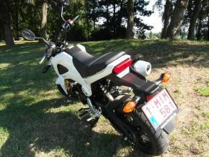 Honda MSX 125 : du fun en petite cylindrée.