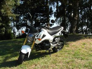 Honda MSX 125 : du fun en petite cylindrée.