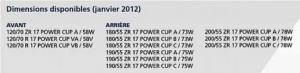 Pneu Michelin Power Cup &#8211; 2012