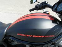 Harley-Davidson Night Rod Special : puissance et look
