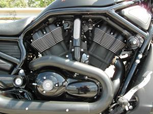 Harley-Davidson Night Rod Special : puissance et look