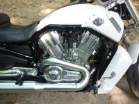 HARLEY DAVIDSON V-ROD MUSCLE 2011 : L&rsquo;autre Harley