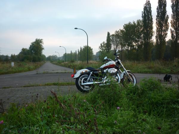 Harley-Davidson Sportster 883 Superlow 2011 : toucher au mythe