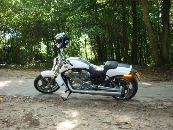 HARLEY DAVIDSON V-ROD MUSCLE 2011 : L&rsquo;autre Harley