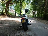 HARLEY DAVIDSON V-ROD MUSCLE 2011 : L’autre Harley