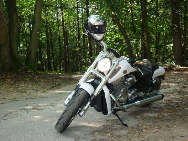HARLEY DAVIDSON V-ROD MUSCLE 2011 : L’autre Harley