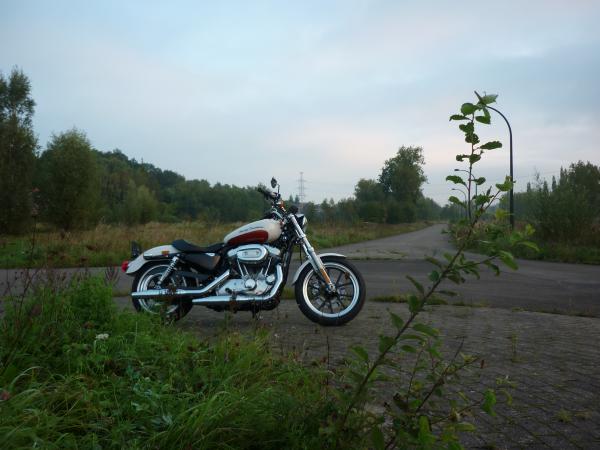 Harley-Davidson Sportster 883 Superlow 2011 : toucher au mythe