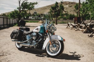 hd softail