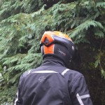 roof desmo