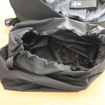 sac_pangolin1