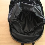sac_pangolin2