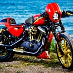 hd king sp2