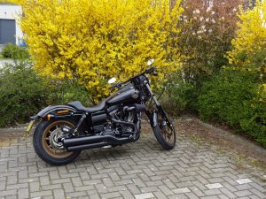 Harley-Davidson Low Rider S effet Bad Boy assuré