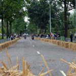 Rorive 2016 243