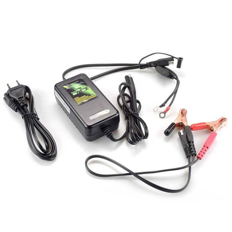 Chargeur pour batterie au Lithium Skyrich