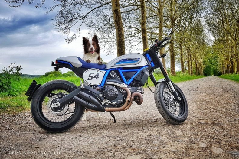 Ducati Scrambler Café Racer 2019
