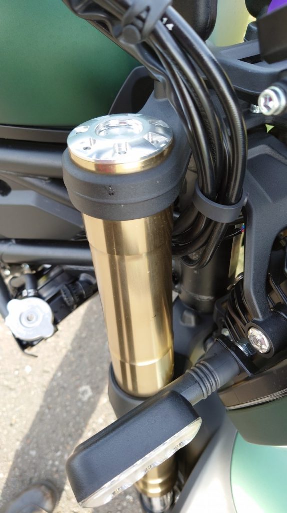 Benelli Leoncino 800: le lionceau a les crocs