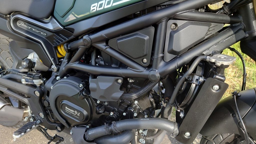 Benelli Leoncino 800: le lionceau a les crocs